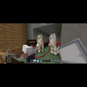 Meet your Posher, Maddy